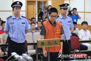 胡斌交通肇事案全解析：从童年到判决的警示与预防