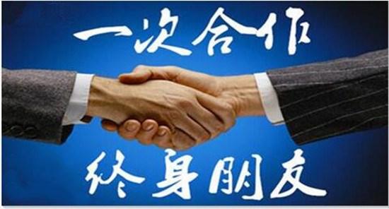 如何打造团队凝聚力？掌握这些方法让团队更高效快乐