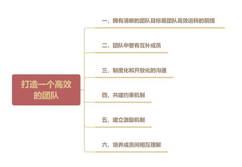 如何打造团队凝聚力？掌握这些方法让团队更高效快乐