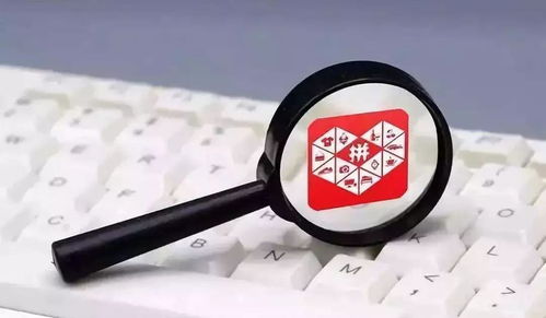 拼多多商家入驻全攻略：轻松开店避免踩坑，快速开启赚钱之路