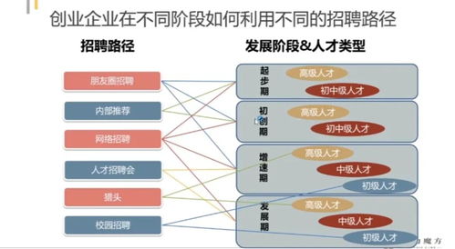 岗位说明书：企业高效管理与员工清晰发展的导航地图