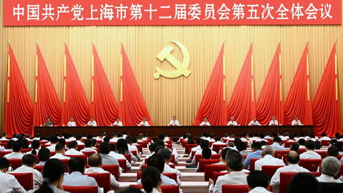 张文斌成长轨迹揭秘：从技术开发到社会创新的职业发展之路