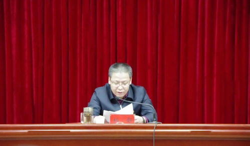 张文斌成长轨迹揭秘：从技术开发到社会创新的职业发展之路