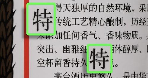 点面结合是什么意思？掌握这个写作技巧让文章既有高度又有温度
