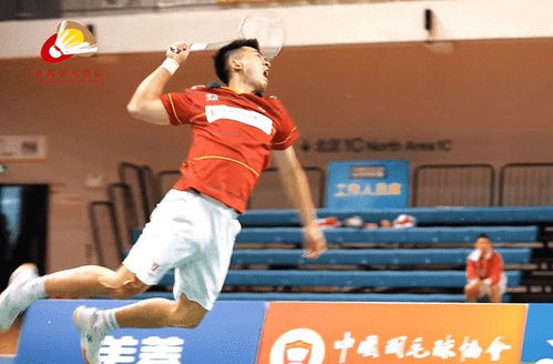 李洋羽毛球生涯全解析：从台湾少年到奥运冠军的成长之路