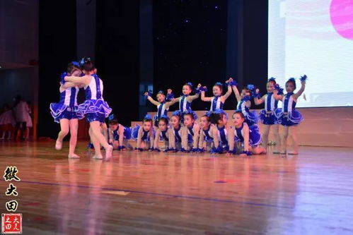 舞蹈学校：从零基础到舞台梦想的完整指南，让学舞更轻松快乐