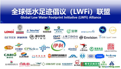 碳足迹计算与减少方法：轻松降低个人碳排放，保护地球环境