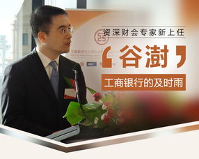 谷澍职业发展揭秘：从会计博士到工商银行董事长的稳健晋升之路