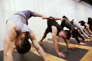 瑜伽教练职业全攻略：从入门到资深，轻松规划你的瑜伽教练之路