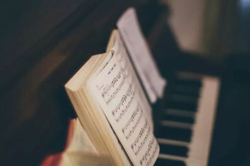 钢琴陪练如何让孩子练琴更高效快乐？专业指南助您选择优质陪练老师