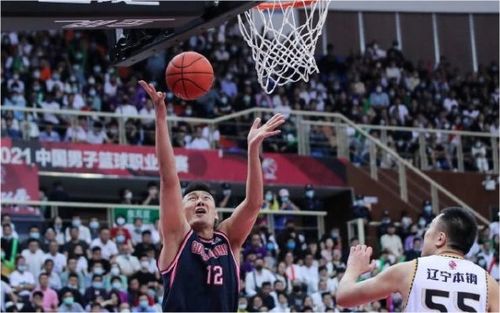 苏伟职业生涯数据、薪资与市场价值全解析：揭秘CBA蓝领中锋的稳健成长之路