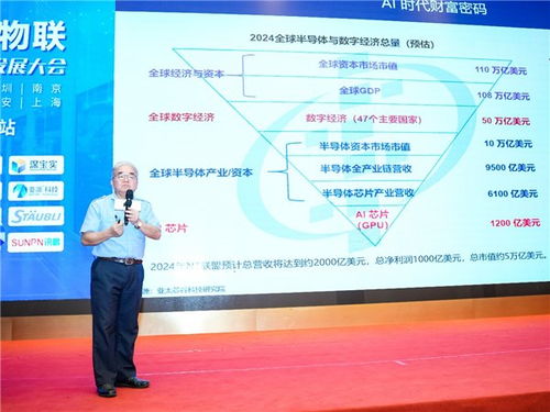 张晶：从管理培训生到行业引领者的职业发展轨迹与成功秘诀