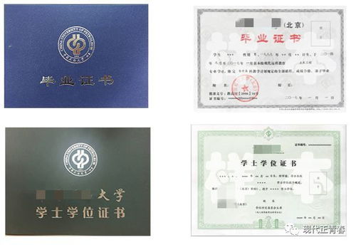 轻松考取保育员证：报考条件、考试内容与备考攻略全解析