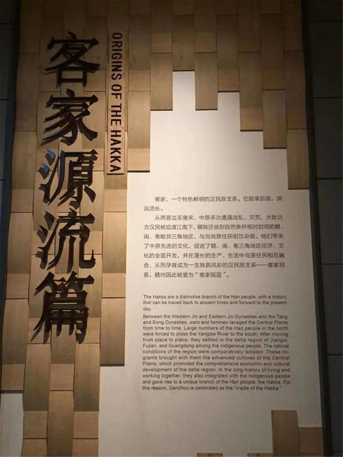 张炜：当代文学巨匠的创作历程与作品深度解析，带你领略乡土情怀与人文关怀的完美融合