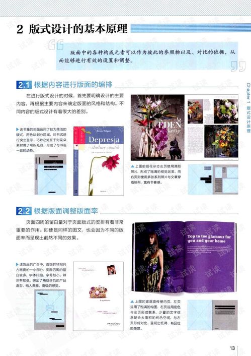 版式设计终极指南：从入门到精通，轻松掌握视觉语言艺术