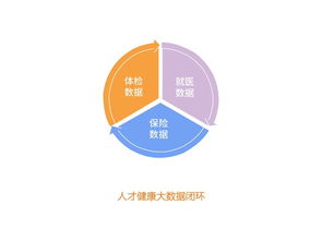 人力资本：如何通过知识技能健康投资，实现职业突破与个人成长