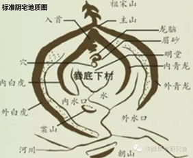 种生基：揭秘古老风水秘术如何改善运势与生活平衡