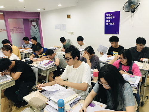 舞蹈艺考全攻略：轻松备考，高效冲刺，圆梦艺术殿堂