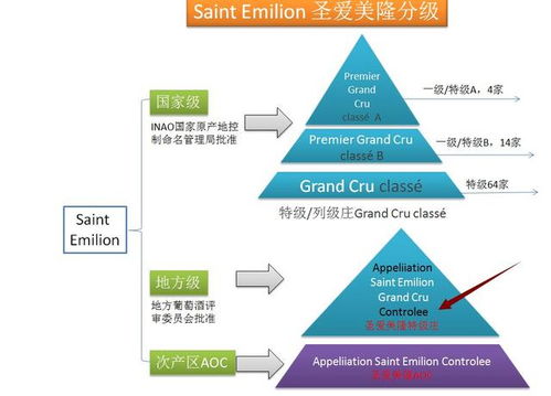 美联英语课程体系全解析：多维学习生态助你轻松掌握英语，告别学习痛苦