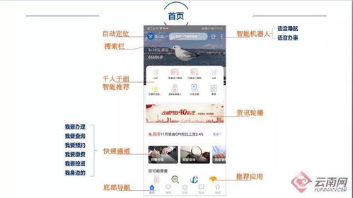 大家网注册全攻略：轻松上手，快速加入温暖社区