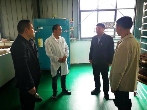 班组建设：打造高效团队，提升工作效率30%的实用指南