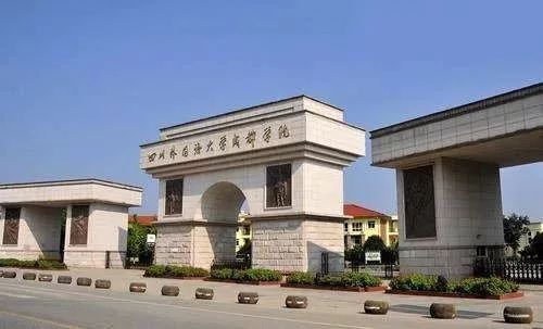 川外怎么样？揭秘四川外国语大学特色专业与就业前景，助你轻松选择外语院校