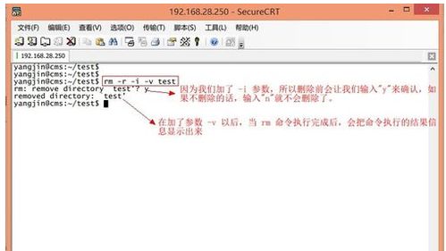 Linux删除文件夹命令大全：快速安全清理目录的完整指南
