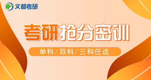 文都考研培训：跨专业考生如何高效备考，轻松上岸