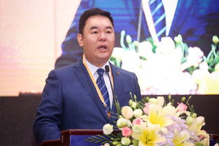 赵波：人工智能与数据挖掘领域的杰出学者成长轨迹与学术贡献全解析