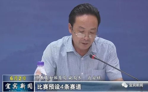 赵波：人工智能与数据挖掘领域的杰出学者成长轨迹与学术贡献全解析
