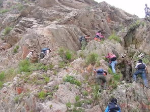 三台山登山攻略：避开人潮的环线游览路线与实用贴士，轻松享受自然美景