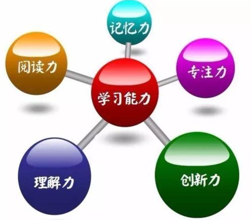 如何有效管理注意力：提升专注力与工作效率的实用指南