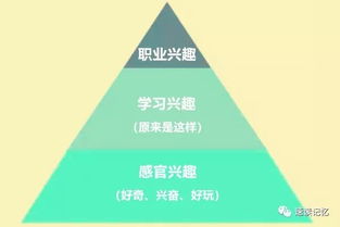 如何有效管理注意力：提升专注力与工作效率的实用指南