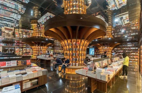 环境设计是学什么的？揭秘从室内到城市的空间魔法，让你轻松掌握人与环境和谐共处的设计奥秘