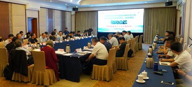 白玲：人才测评专家教你科学识人，精准规划职场发展