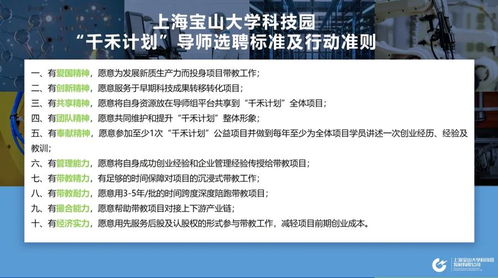 王泽龙：从技术挫败到行业领袖的成长之路，揭秘他的成功经验与项目成就