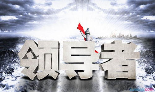 王泽龙：从技术挫败到行业领袖的成长之路，揭秘他的成功经验与项目成就