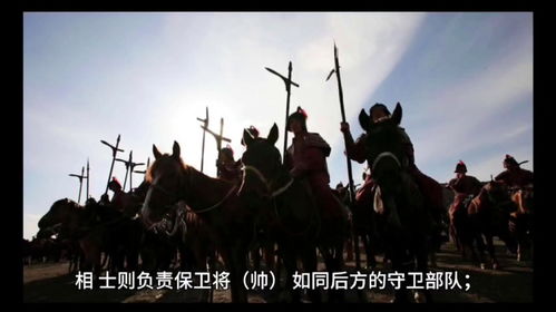 杨忠：南北朝乱世中的军事奇才与政治智慧，如何为隋唐盛世奠基