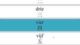 荷兰语学习全攻略：从发音到精通，轻松掌握这门亲和语言