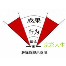 教练技术：激发潜能、提升领导力与团队协作的实用指南