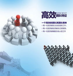 如何提升团队凝聚力：打造高效协作的秘诀，让团队像胶水一样紧密相连