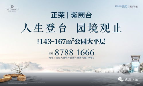相信未来朗诵：用声音传递希望，缓解现代焦虑的诗意疗愈之旅