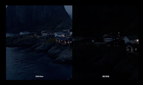 黑光揭秘：从夜视仪到摄影，解锁紫外线世界的便捷乐趣