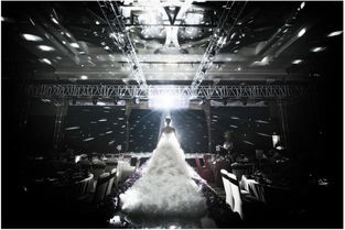 黑光揭秘：从夜视仪到摄影，解锁紫外线世界的便捷乐趣