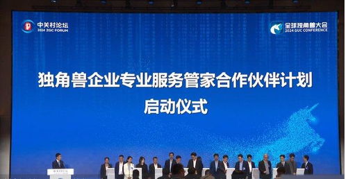 朱磊的专业成长之路：从教育背景到行业影响力的完整解析