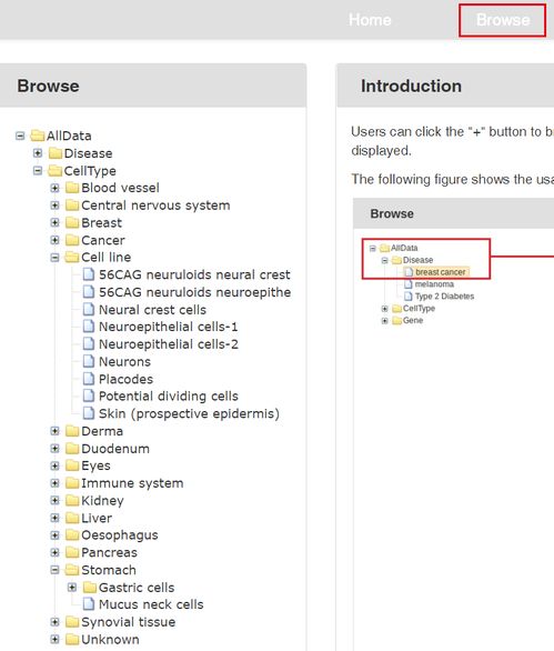 李祥：智能计算与数据科学交叉领域的学术贡献与行业应用解析