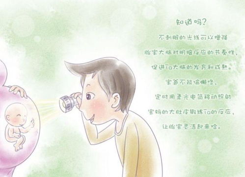 胎教小故事：科学胎教指南，用故事促进胎儿大脑发育与情感连接