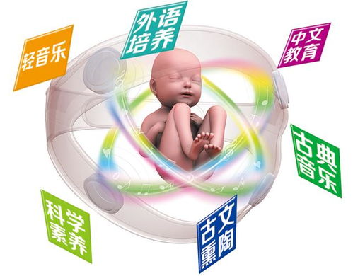 胎教小故事：科学胎教指南，用故事促进胎儿大脑发育与情感连接