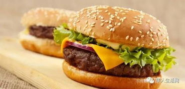 汉堡包用英语怎么说？美式英式发音、点餐用语、文化差异全解析