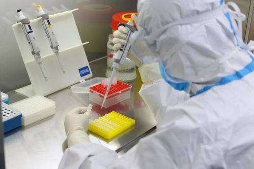 孙静：从清华实验室到医疗科技领军者的创新之路，如何用技术普惠医疗解决基层诊断难题